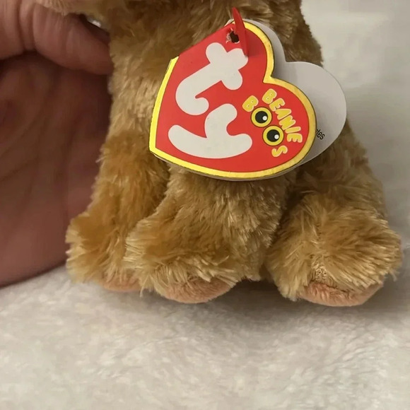 🦖 🏴☠️ Ty beanie baby Rowan the pirate dog. NWT. 🐶 - Picture 5 of 7